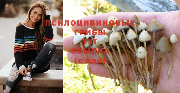ALPHA PVP Алексин