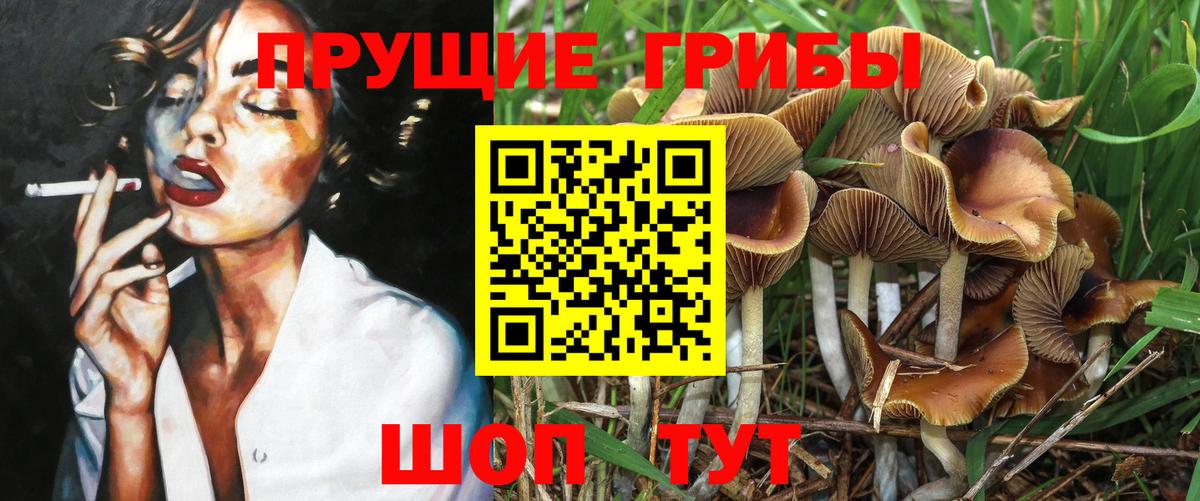 Анапа  Псилоцибиновые грибы MAGIC MUSHROOMS  Вход с VPN 