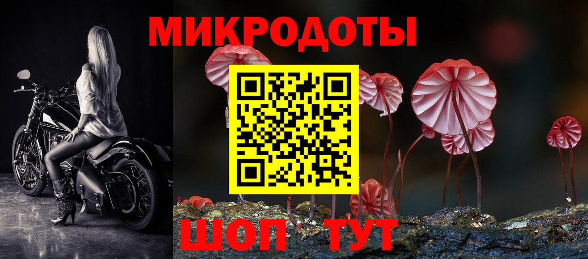 Псилоцибиновые грибы Psilocybe Анапа